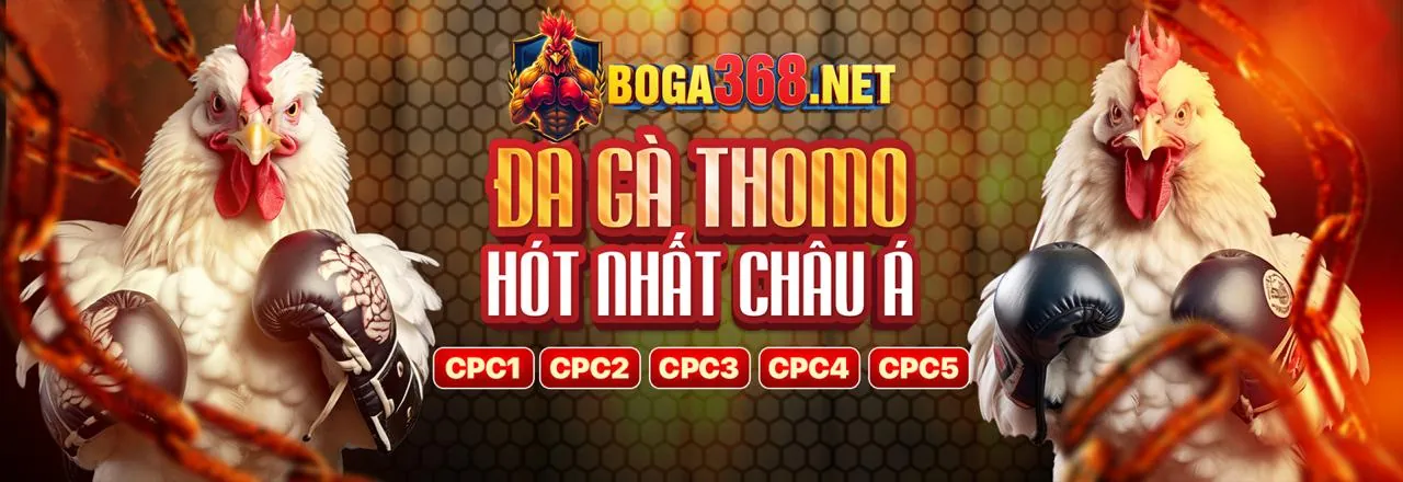 Trò chơi đá gà trực tuyến tại Typhu88