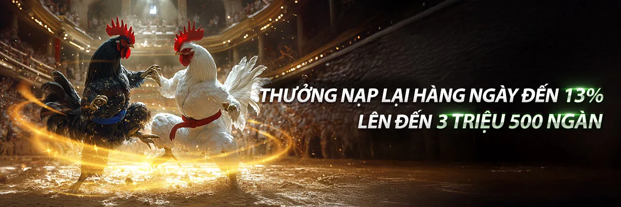 Hình ảnh giới thiệu trang Câu Hỏi Thường Gặp của typhu88