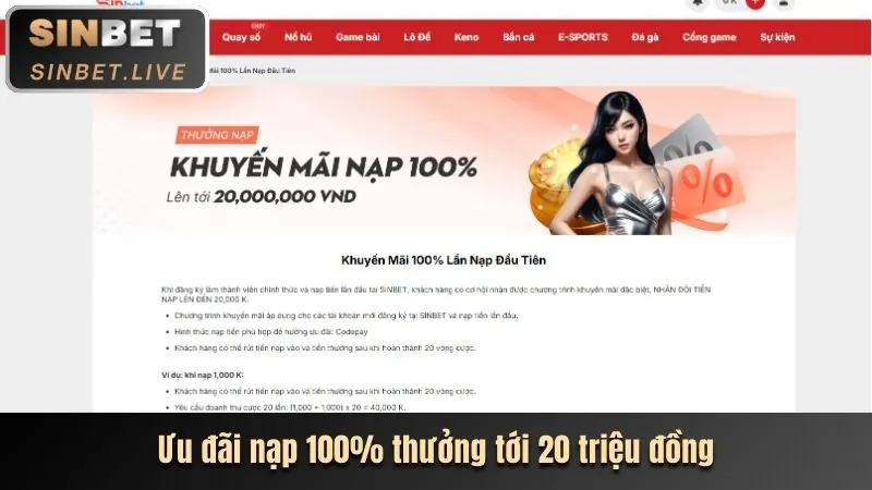 Ưu Đãi Độc Quyền Cho Người Chơi Mới Typhu88
